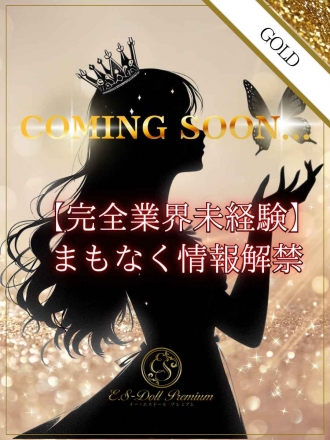 新人（完全未経験）